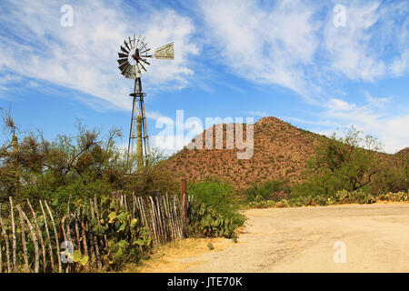 Windmühle, Berg- und Schmetterlingsgarten entlang einem Zaun auf der La Posta Quemada Ranch mit Kopie Raum in Colossal Cave Mountain Park in Vail, Colorado, U Stockfoto