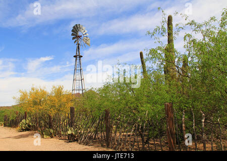 Windmühle, Berg- und Schmetterlingsgarten entlang einem Zaun auf der La Posta Quemada Ranch mit Kopie Raum in Colossal Cave Mountain Park in Vail, Colorado, U Stockfoto