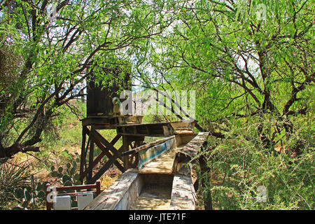 Versteckte alten Bergbau sluice Box mit Wasser Barrel im Schmetterlingsgarten auf La Posta Quemada Ranch in Colossal Cave Mountain Park in Vail, Colorado, USA Stockfoto