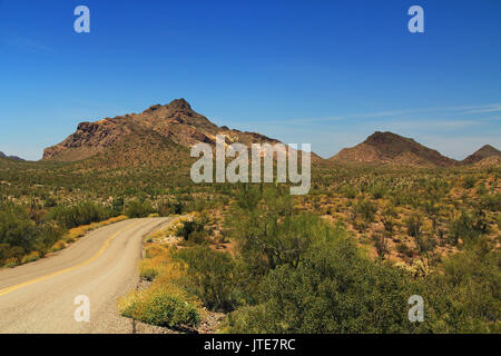 Blue Sky copy Raum und kurvenreiche Straße in der Nähe von pinkley Peak im Organ Pipe Cactus National Monument in Ajo, Arizona, USA, darunter eine große Auswahl an De Stockfoto