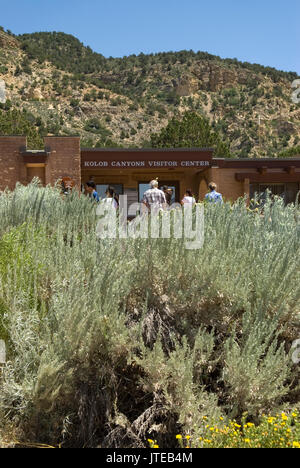 Touristen am Zion National Park Visitor Centre Springdale Arkansas USA. Stockfoto