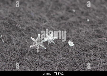 Schneeflocken Makro Stockfoto