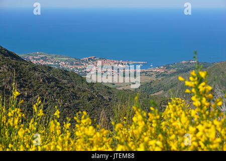 Dorf an der Küste Landschaft Collioure am Ufer des Mittelmeers, von den Höhen gesehen, Vermilion Küste, Frankreich, Roussillon Stockfoto