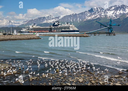 Möwen am Hafen von Seward, Kenai Halbinsel, Alaska, USA Stockfoto