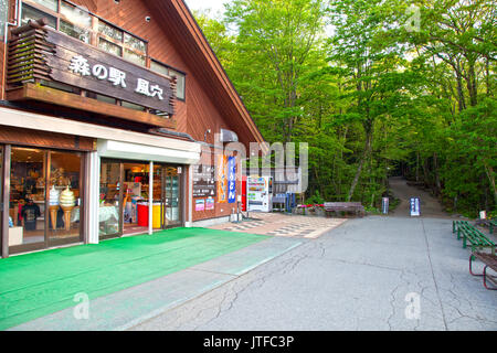 Souvenirladen am Eingang zu Aokihagara oder zum Meer Der Bäume im Fuji Five Lakes Gebiet in Japan Stockfoto