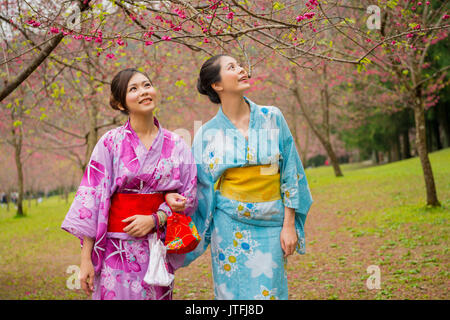 Schönen japanischen Studentinnen tragen traditionellen Kimono Kleidung wandern in den Cherry Blossom Straße zusammen genießen die Attraktive rosa Flow Stockfoto