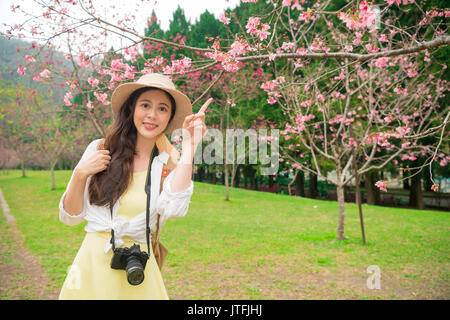 Schöne weibliche Blogger besuchen berühmte cherry tree Pflanze Park genießen Kirschblüten und zeigt Sakura rosa Blumen zum Teilen der Landschaft für Stockfoto