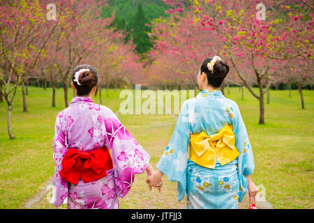 Asiatische chinesische Frauen Reise nach Japan, die traditionelle kimono Kleidung in den Straßen von cherry tree Pflanze Blüte und gehen Hand in Hand gehen Stockfoto