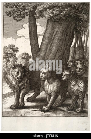 Wenzel Hollar die Raubtiere und die Maus 2. Stockfoto