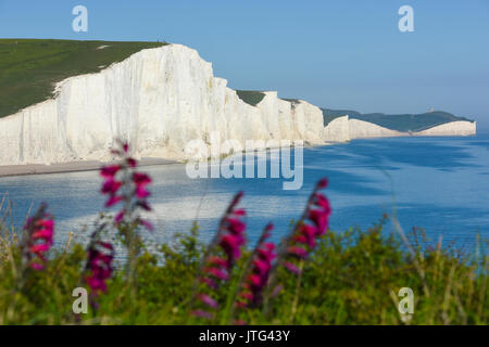 Die sieben Schwestern, von Seaford Kopf gesehen, East Sussex, Großbritannien Stockfoto