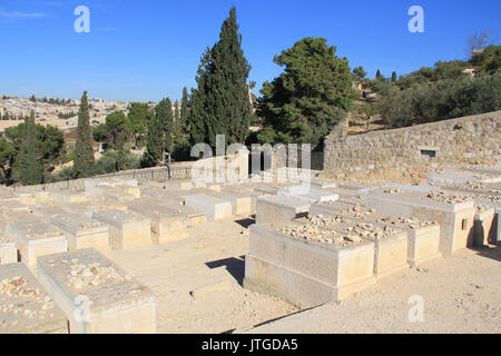 Jüdischer Friedhof auf dem Ölberg in Israel. Stockfoto