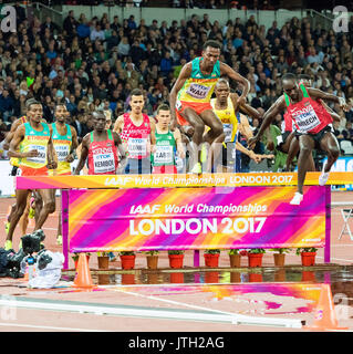 London, Großbritannien. 08 Aug, 2017. Bei den Herren 3.000 m Hindernis final an Tag fünf der IAAF London 2017 Weltmeisterschaften am London Stadion. Credit: Paul Davey/Alamy leben Nachrichten Stockfoto