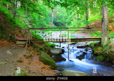 Schöne Aussicht auf die Brücke über den Fluss, von Shypit Wasserfall in der Ukraine, Stockfoto