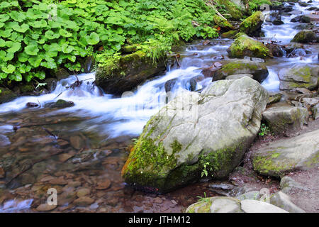 Fließendes Wasser von Shypit Wasserfall in der Ukraine Stockfoto