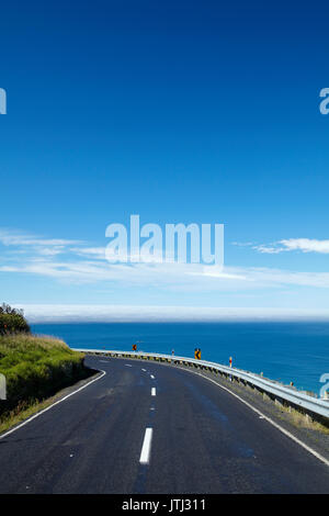 Highcliff Rd und den Pazifischen Ozean, Otago Peninsula, Dunedin, Südinsel, Neuseeland Stockfoto