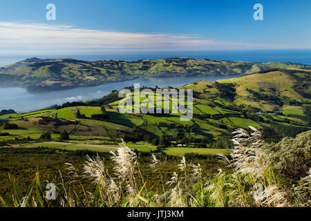 Ackerland am oberen Kreuzung und Otago Hafen und die Halbinsel Otago, Dunedin, Südinsel, Neuseeland Stockfoto