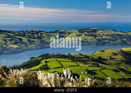 Ackerland am oberen Kreuzung und Otago Hafen und die Halbinsel Otago, Dunedin, Südinsel, Neuseeland Stockfoto