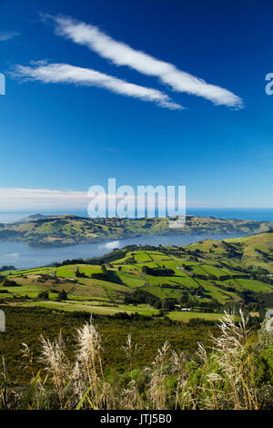 Ackerland am oberen Kreuzung und Otago Hafen und die Halbinsel Otago, Dunedin, Südinsel, Neuseeland Stockfoto