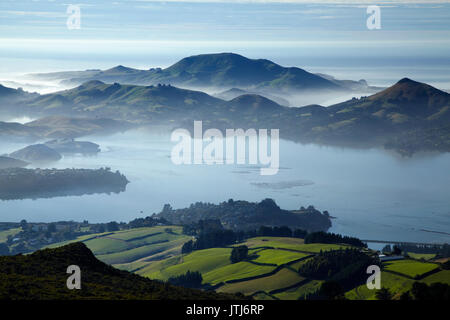 Otago Hafen und die Halbinsel Otago, Dunedin, Südinsel, Neuseeland Stockfoto