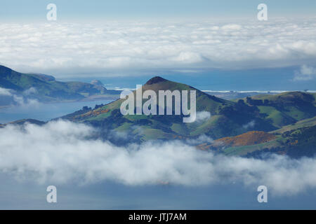 Harbour Cone, Otago Peninsula, und Nebel über Otago Harbour, Dunedin, Südinsel, Neuseeland Stockfoto