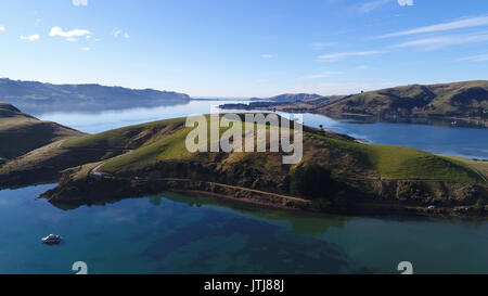 Portobello Halbinsel, Otago Peninsula und Otago Harbour, Dunedin, Südinsel, Neuseeland - drone Antenne Stockfoto