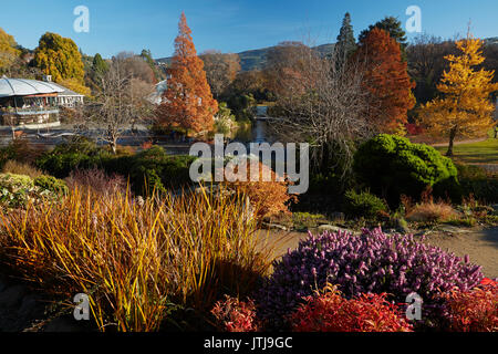 Herbst Farbe, botanischen Gärten, Dunedin, Otago, Südinsel, Neuseeland Stockfoto