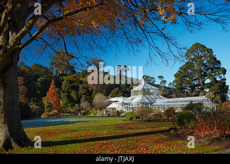 Herbst Farbe, botanischen Gärten, Dunedin, Otago, Südinsel, Neuseeland Stockfoto