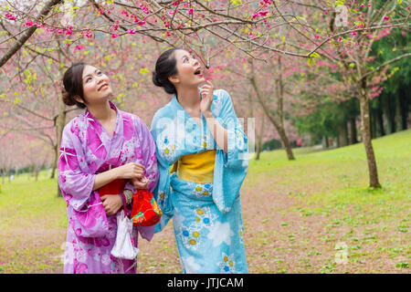 Süß lächelnde Mädchen auf der Suche an der Kirsche Blüte Blume Bäume überrascht fühlen und das Tragen der traditionellen Kimono Kleidung in Japan reisen urlaub ferien Stockfoto