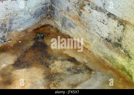 Wasser und Schimmel im Keller. Stockfoto