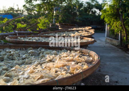 Nudeln Trocknung in Hoi An, Vietnam Stockfoto