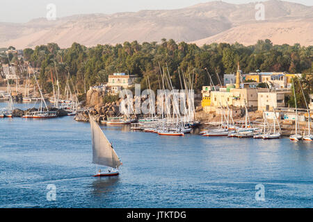 Feluccas vor der Insel Elephantine, Aswan. Stockfoto