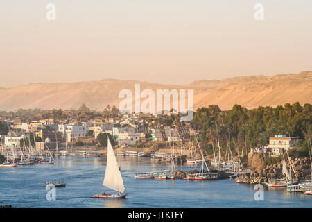 Feluccas vor der Insel Elephantine, Aswan. Stockfoto