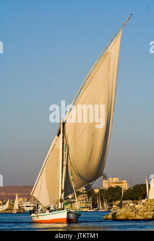 Feluccas vor der Insel Elephantine, Aswan. Stockfoto