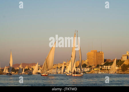 Feluccas vor der Insel Elephantine, Aswan. Stockfoto