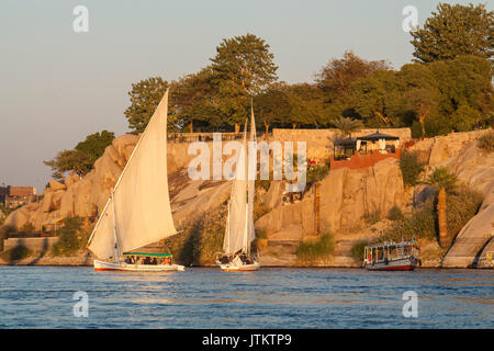 Feluccas vor der Insel Elephantine, Aswan. Stockfoto