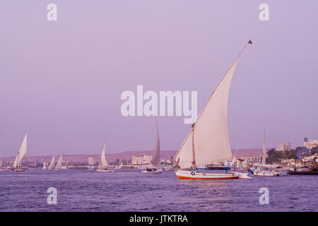 Feluccas vor der Insel Elephantine, Aswan. Stockfoto