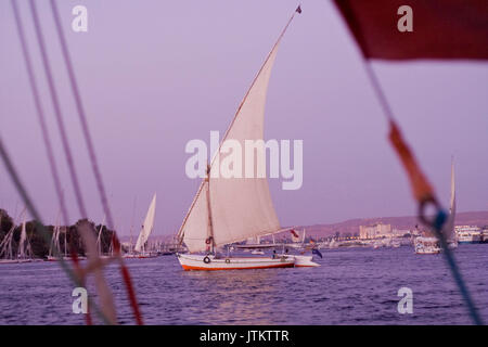 Feluccas vor der Insel Elephantine, Aswan. Stockfoto