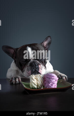 Abendessen. Süße Versuchung. Auf die Ernährung. Freude. Keinen Appetit. Süßigkeiten auf einem Teller. Zu schnuppern. Stockfoto