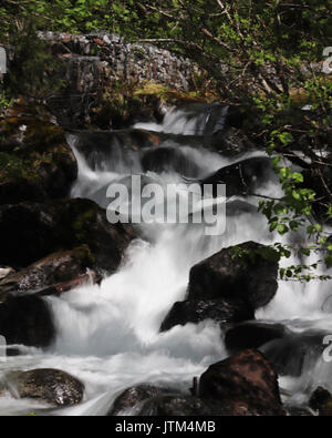 Kleiner Wasserfall als Fluss hinunter läuft Berghang Stockfoto