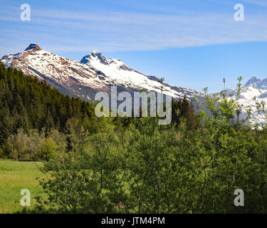 Die schneebedeckten Berge mit Wiese, Juneau Alaska Stockfoto