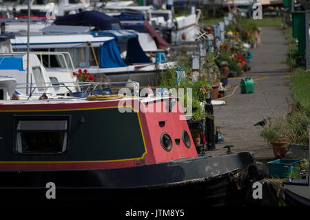 Lee Valley Marina, Springfield Park, Stamford Hill E5 London Hausboote günstig nahe zusammen Stockfoto