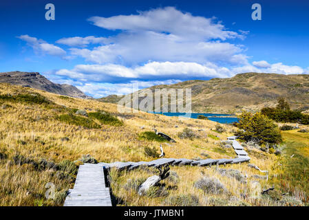 Torres del Paine, Chile. Herbst austral Landschaft in Patagonien mit lago El Toro in Südamerika. Stockfoto