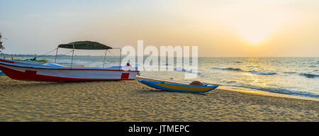 Panorama von Negombo Beach mit der Fischerboote auf dem Sand bei Sonnenuntergang, Sri Lanka. Stockfoto