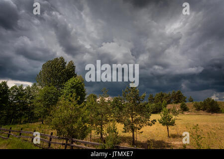 Stürmischen Himmel über Wiese und Bäume Stockfoto