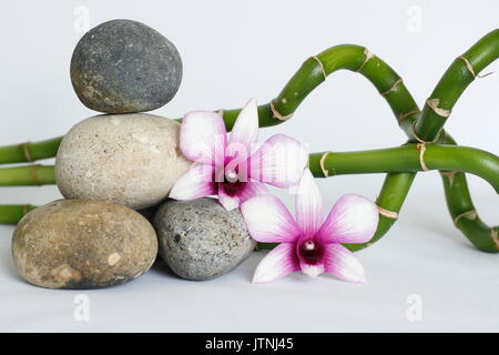 Natürliches Grau Kieselsteine im Zen Lebensstil mit zwei zweifarbige Orchideen auf der rechten Seite des Bambus auf weißem Hintergrund verdreht angeordnet Stockfoto