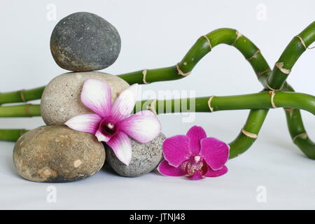 Pebbles Grau im Lebensstil zen mit einem zweifarbigen Orchidee und einem dunklen Pink Orchid bamboo auf weißem Hintergrund verdreht angeordnet Stockfoto