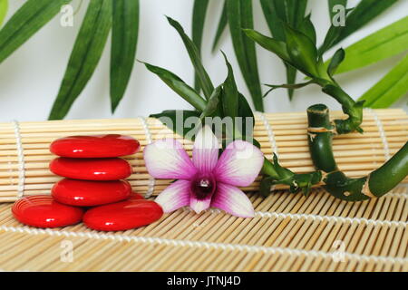 Red Pebbles arrangiert im Zen Lebensstil mit einem zweifarbigen Orchidee auf der rechten Seite des Bambus auf Holzboden und Laub Hintergrund verdreht Stockfoto