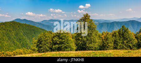 Wunderschöne bergige Panorama mit Wald im frühen Herbst Tag Stockfoto