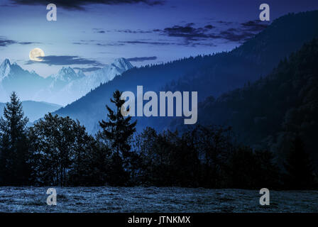 Wald am Hang Wiese in der Hohen Tatra Bergkamm Fichte. Wunderschöne Landschaft Berglandschaft im frühen Herbst in der Nacht im Licht des Vollmondes Stockfoto