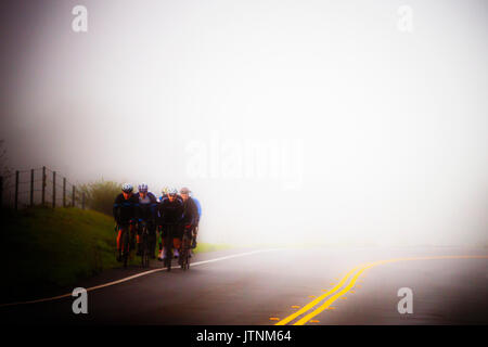 Radfahrer an einem nebligen am frühen Morgen Fahrt in Marin County, Kalifornien. Der Fokus auf diesem Bild ist weich. Stockfoto